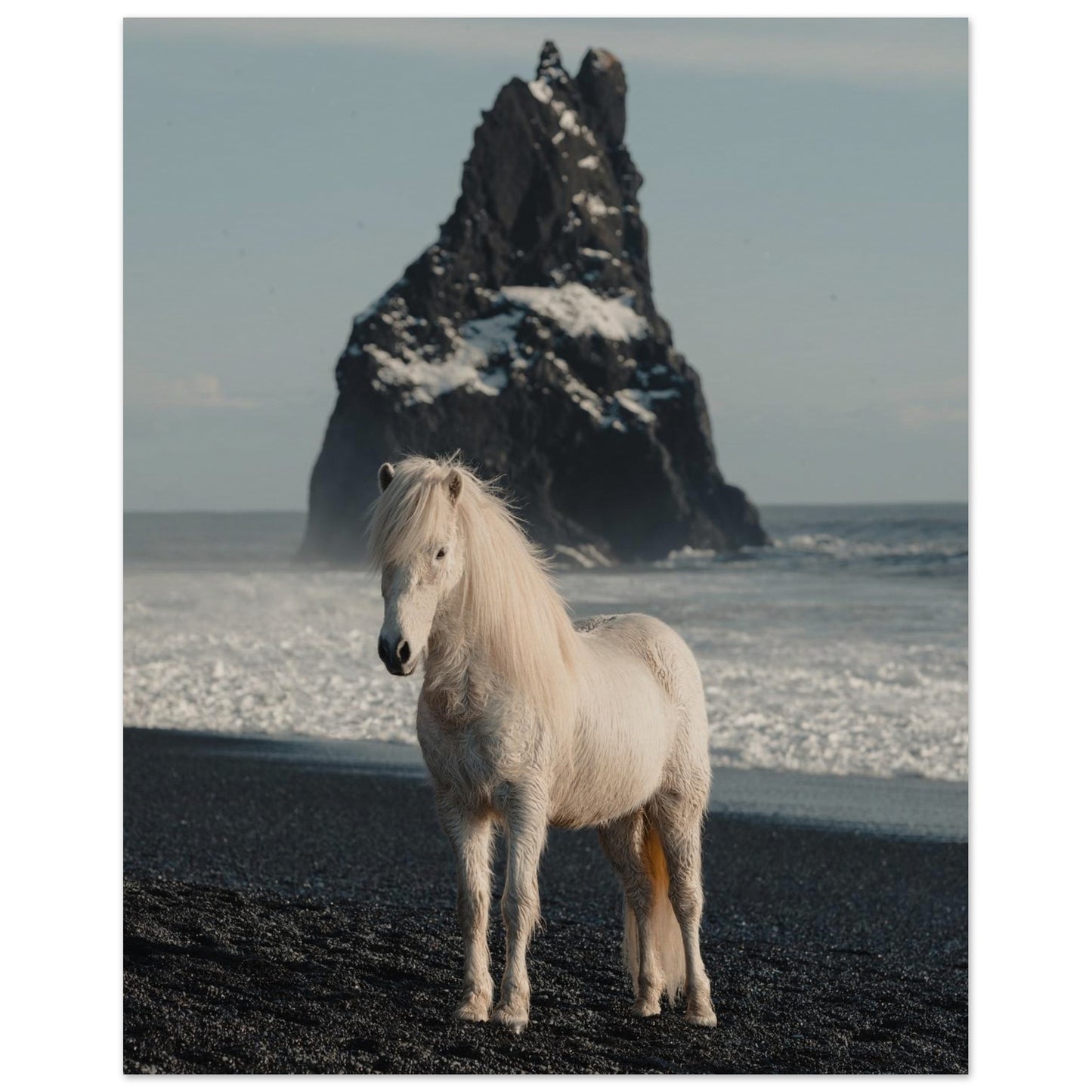 Horse Riding in Iceland Poster 40x50 cm 16x20″ No Border