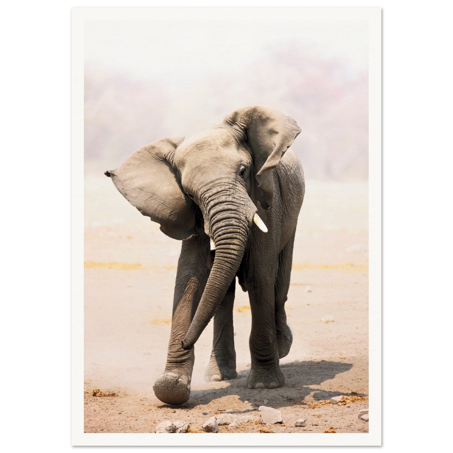 An Elephant Wall Art Poster A3 (29.7 x 42 cm) Border
