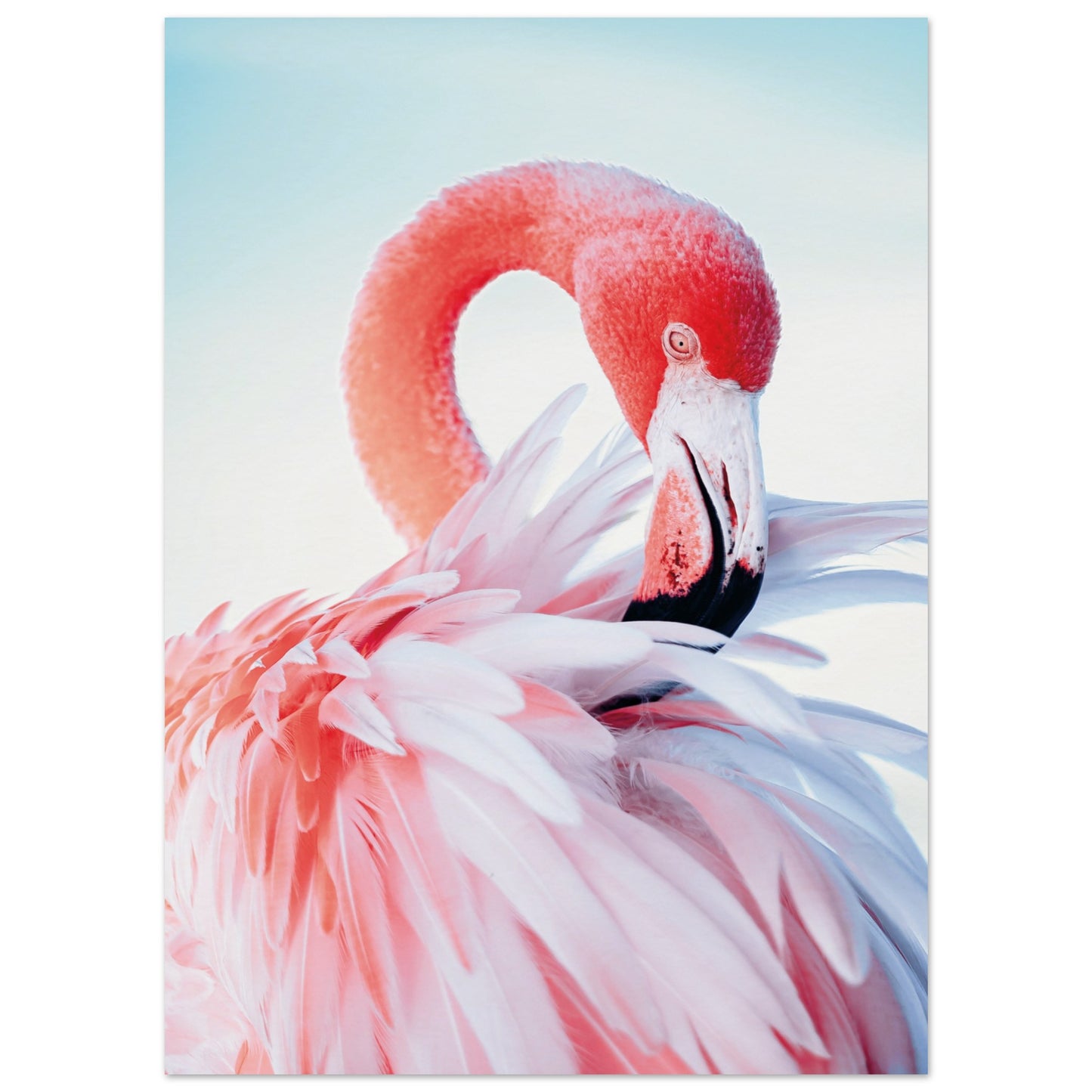 Graceful Flamingo Poster 13x18 cm 5x7″ No Border