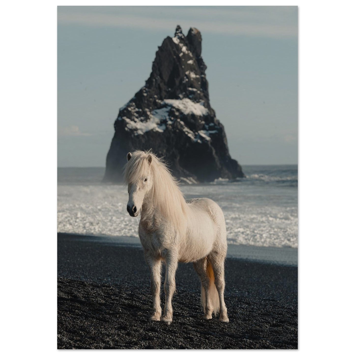 Horse Riding in Iceland Poster 70x100 cm 28x40″ No Border