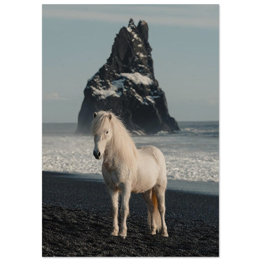 Horse Riding in Iceland Poster 70x100 cm 28x40″ No Border