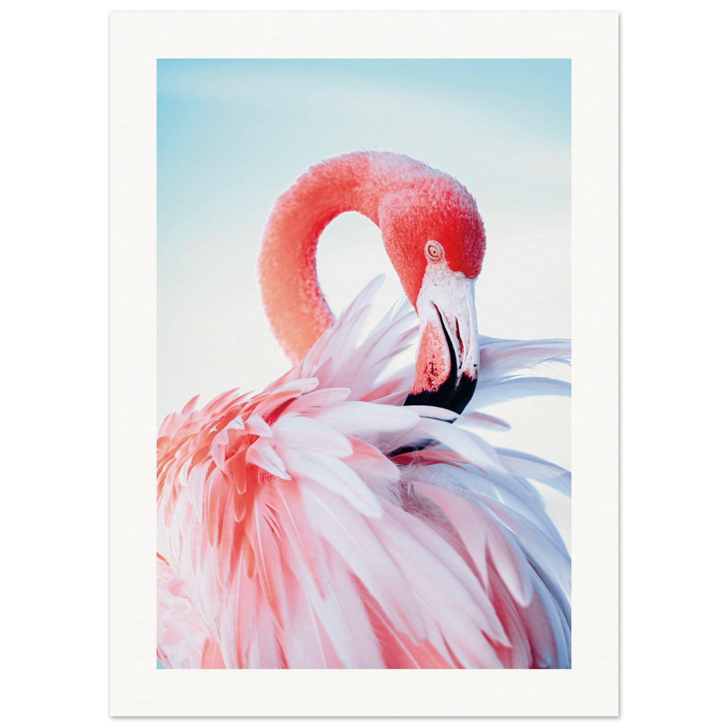 Graceful Flamingo Poster 13x18 cm 5x7″ Border