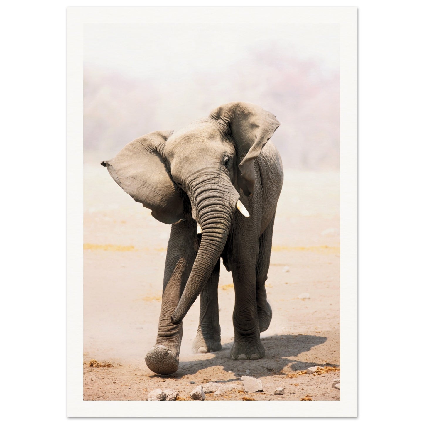 An Elephant Wall Art Poster 21x29.7 cm 8x12" Border