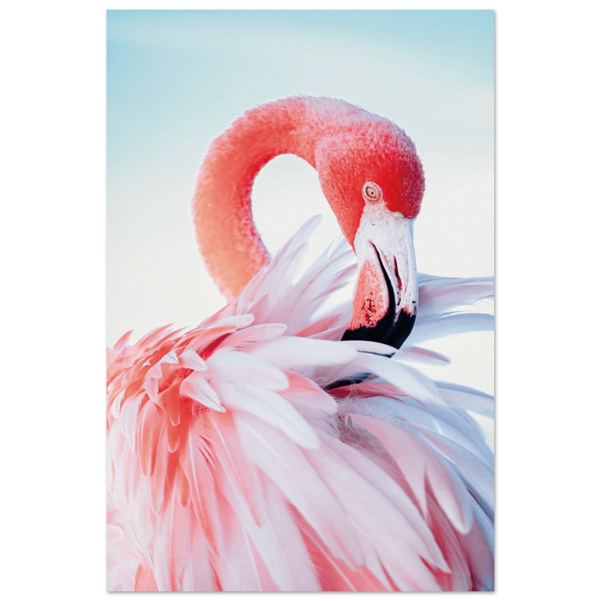 Graceful Flamingo Poster