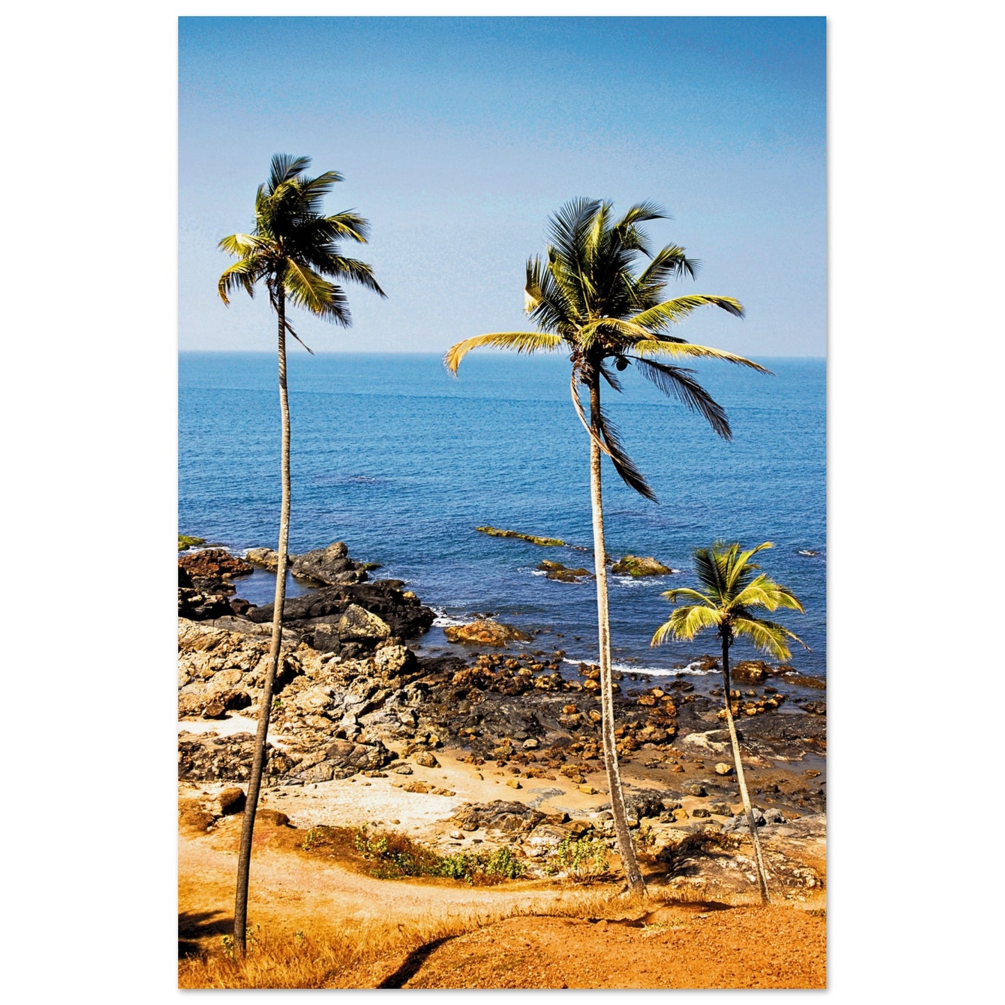 Golden Sands of Goa Poster 60x90 cm 24x36″ No Border