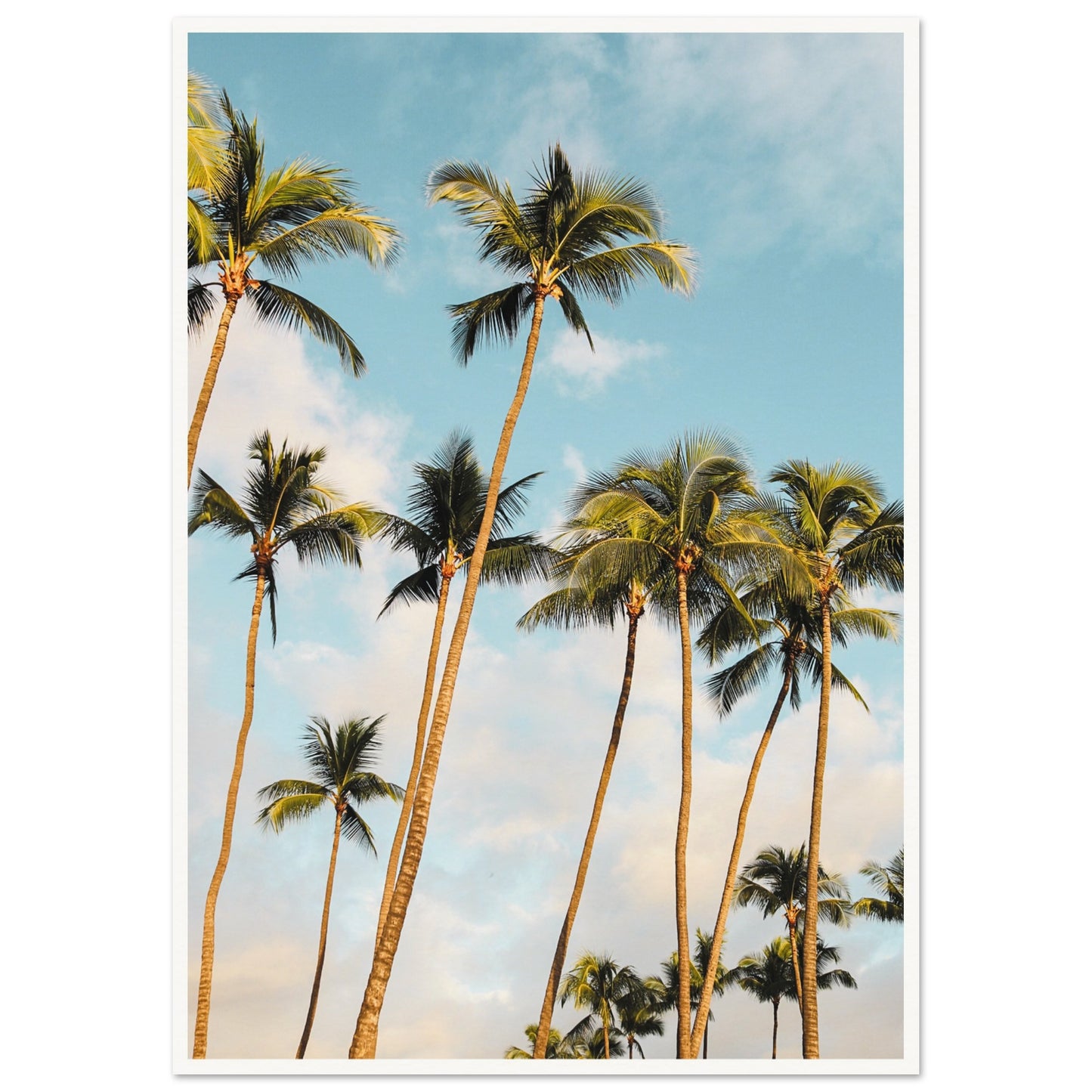 Hawaii Palm Trees Poster A1 (59.4 x 84.1 cm) Border