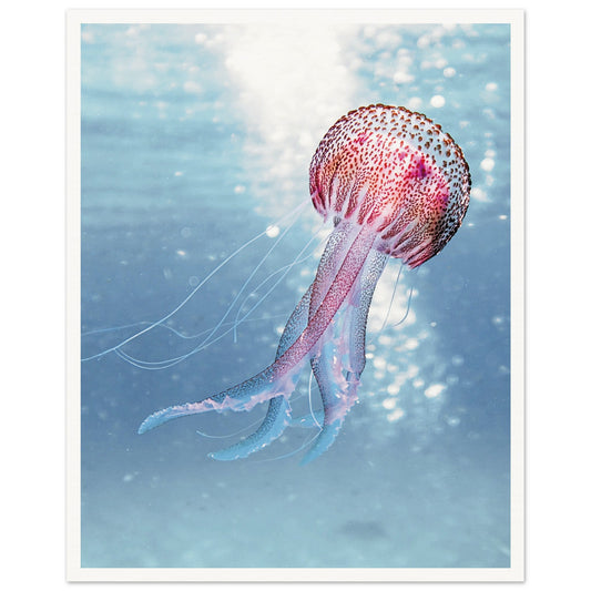 Ocean Serenity Jellyfish Poster 40x50 cm 16x20″ Border