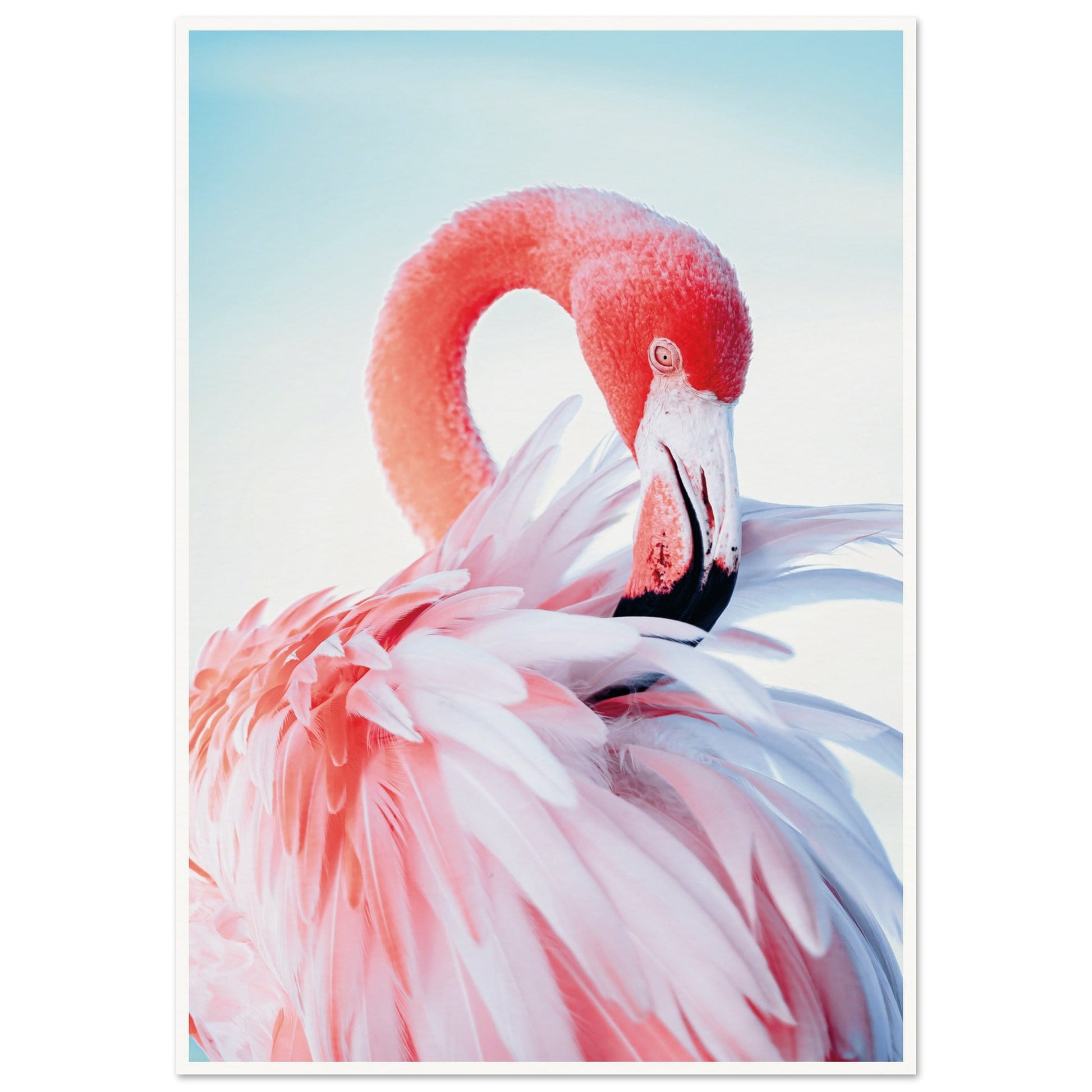 Graceful Flamingo Poster