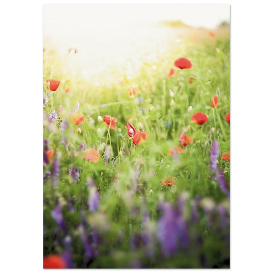 A Meadow of Poppies Poster A1 (59.4 x 84.1 cm) No Border