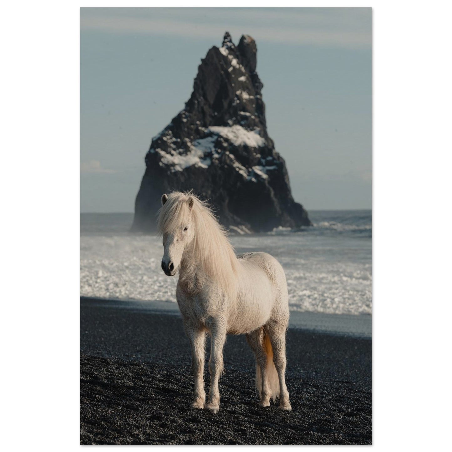 Horse Riding in Iceland Poster 60x90 cm 24x36″ No Border