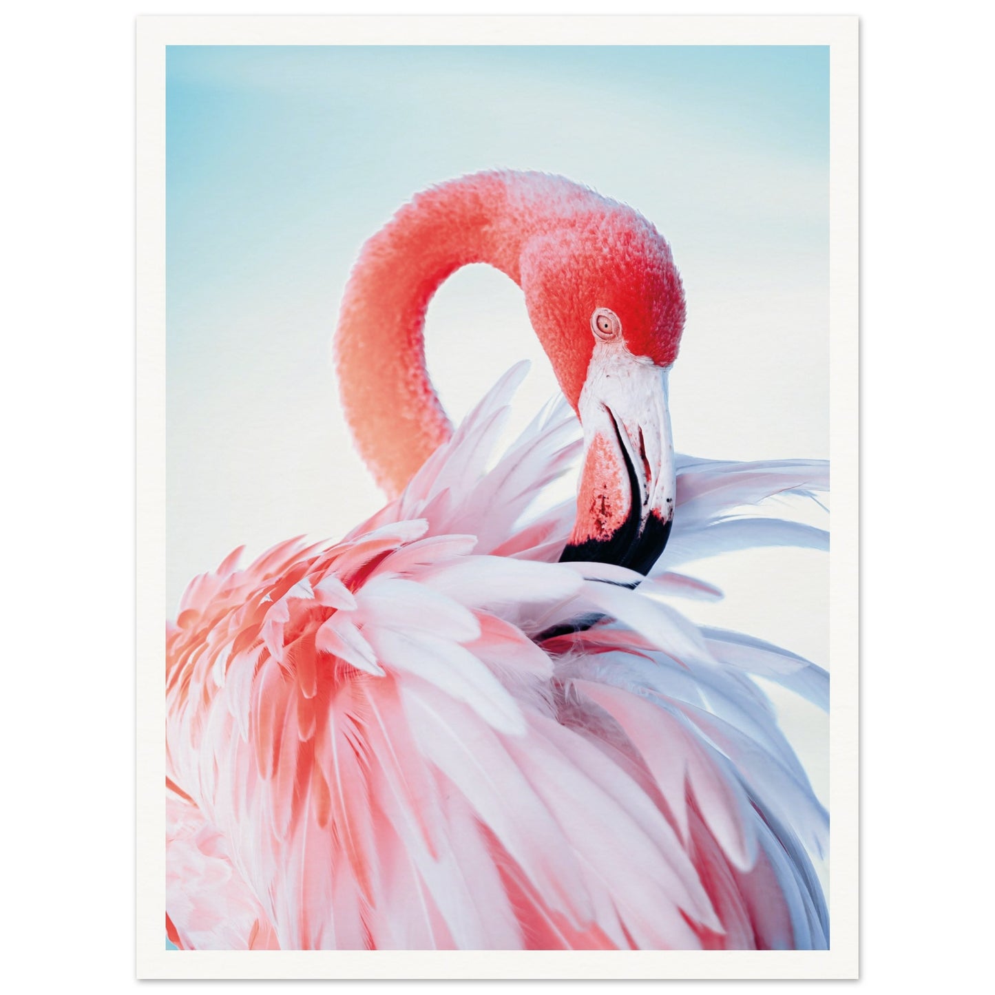 Graceful Flamingo Poster 30x40 cm 12x16″ Border