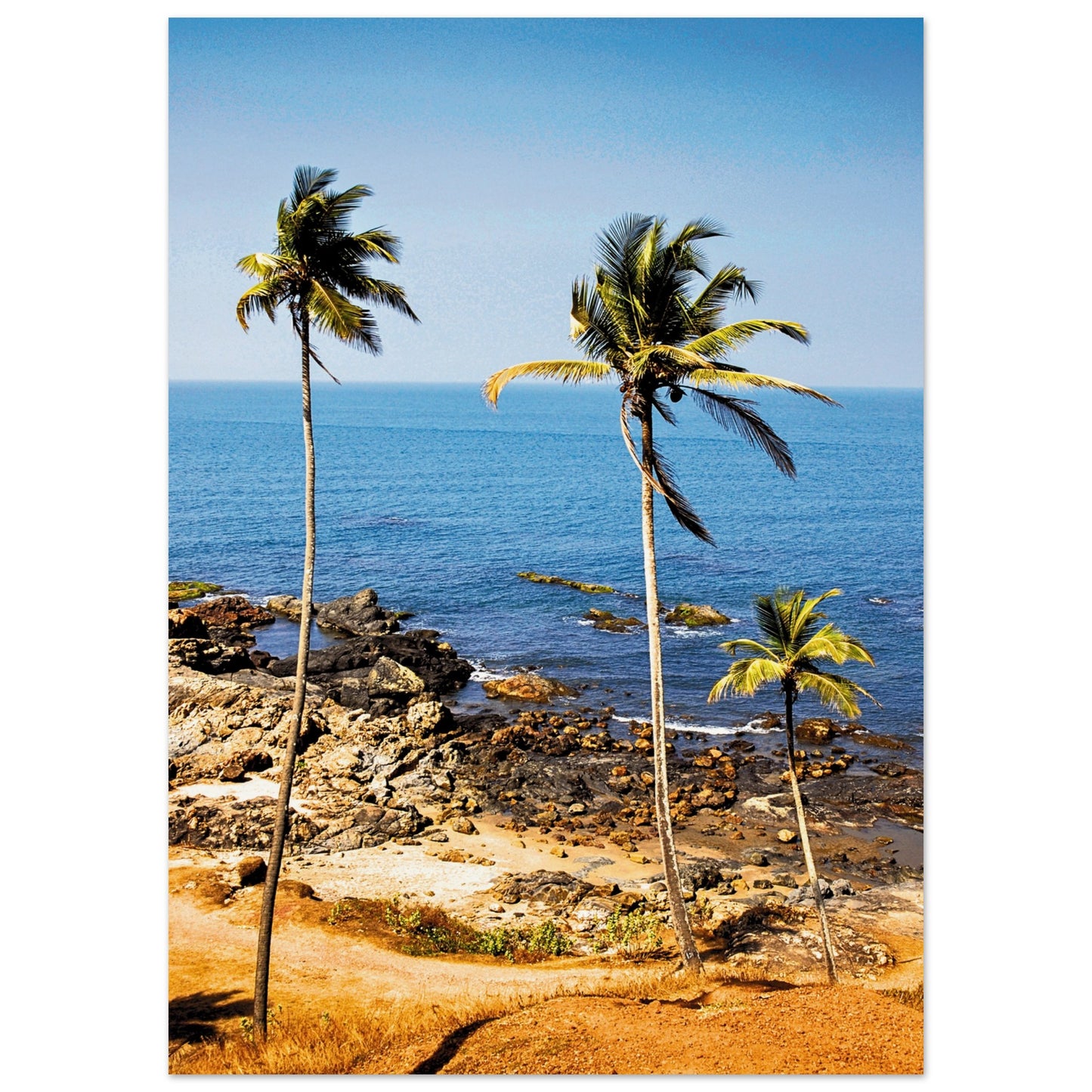 Golden Sands of Goa Poster 50x70 cm 20x28″ No Border