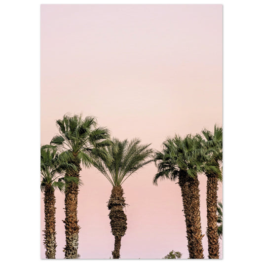 LA Palm Trees at Dusk Poster 50x70 cm 20x28″ No Border