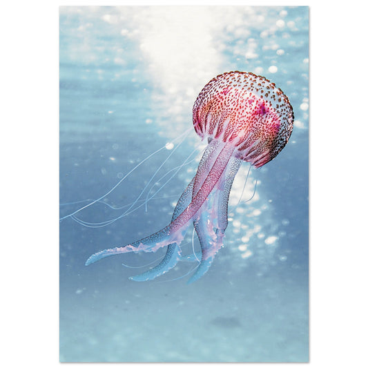 Ocean Serenity Jellyfish Poster 70x100 cm 28x40″ No Border