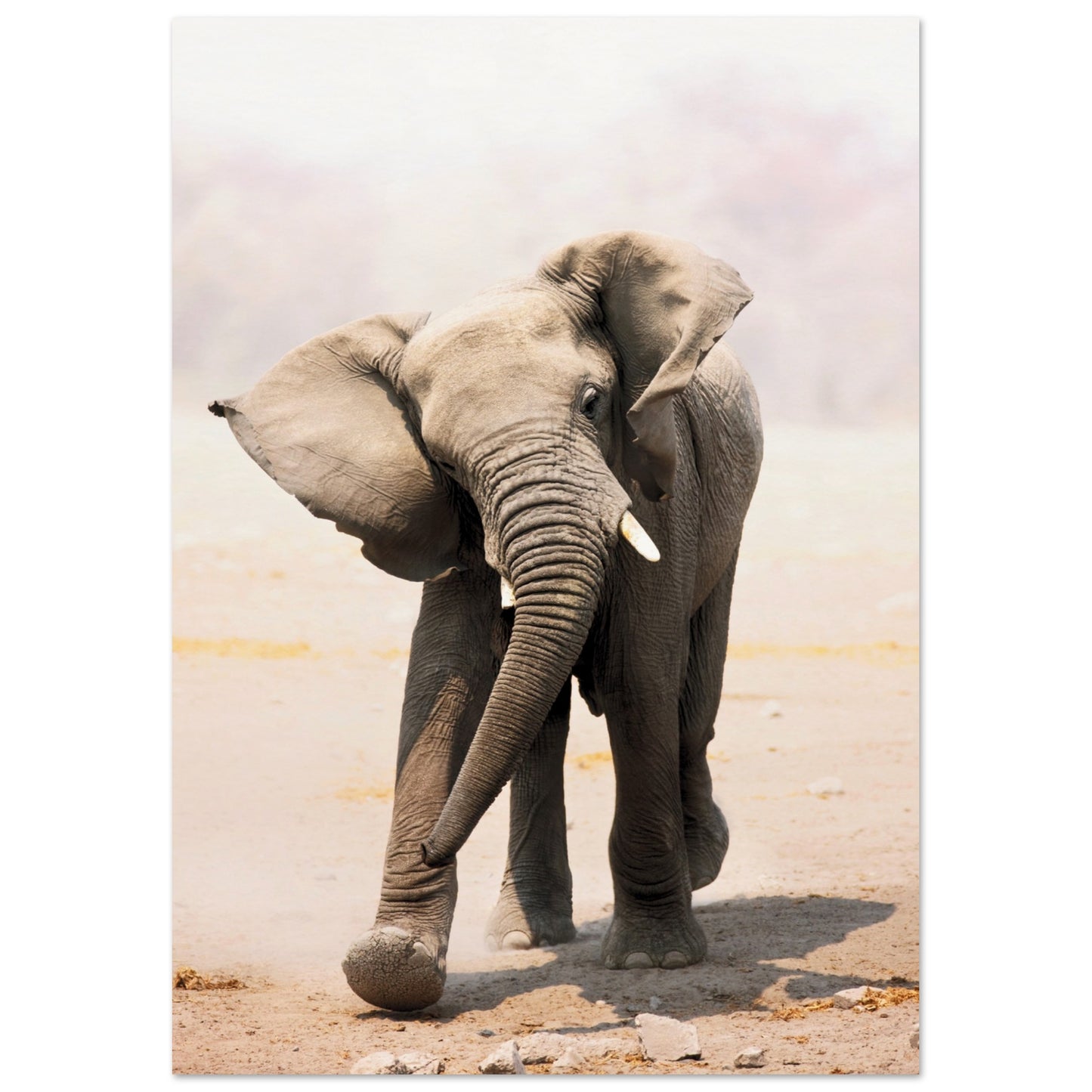 An Elephant Wall Art Poster A3 (29.7 x 42 cm) No Border