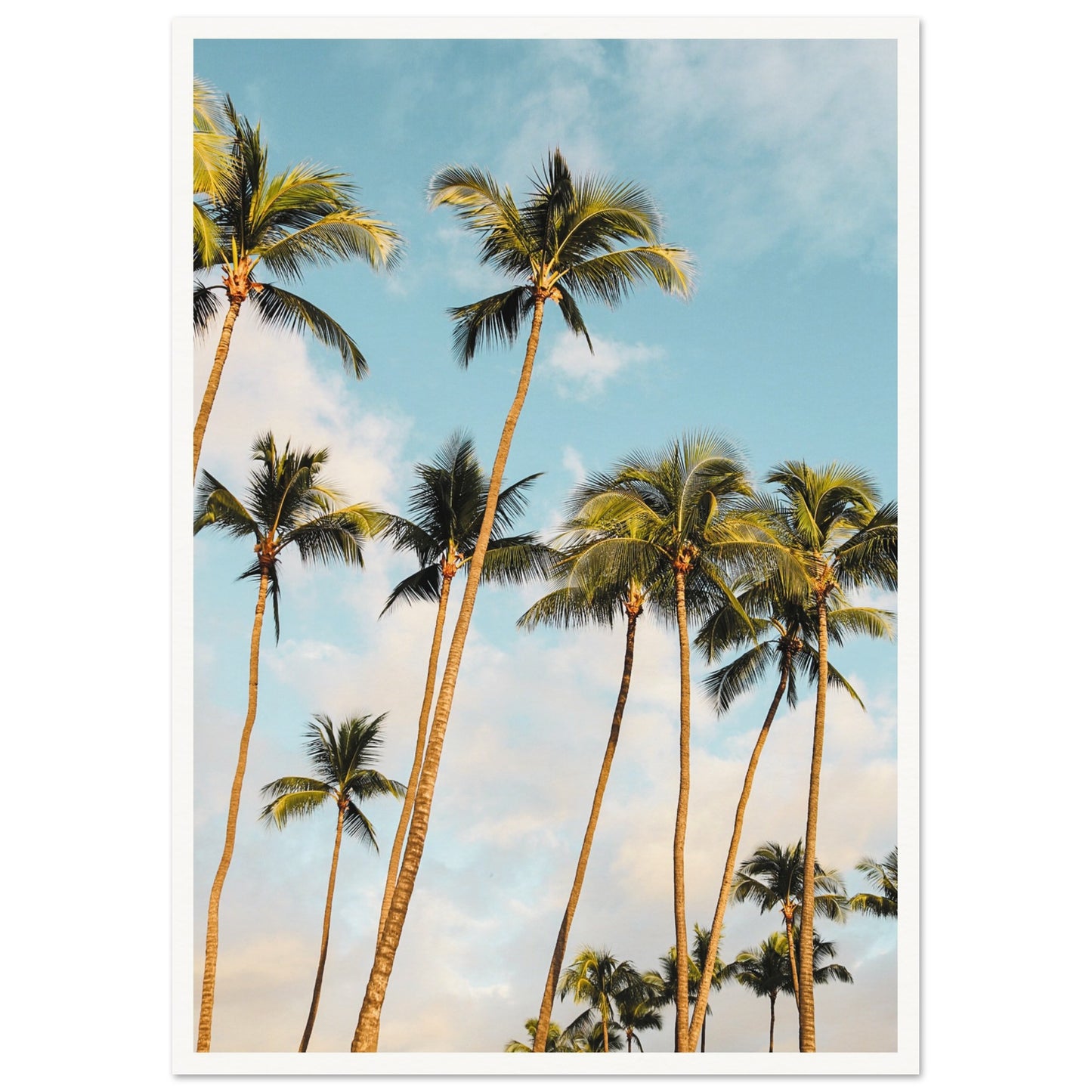 Hawaii Palm Trees Poster A2 (42 x 59.4 cm) Border