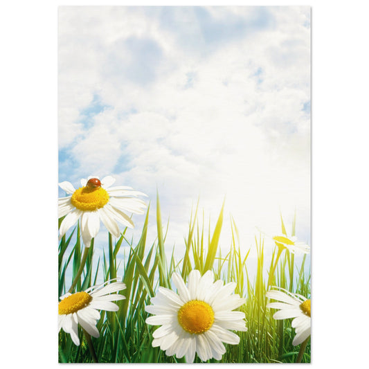 Daisy Meadow Poster A1 (59.4 x 84.1 cm) No Border