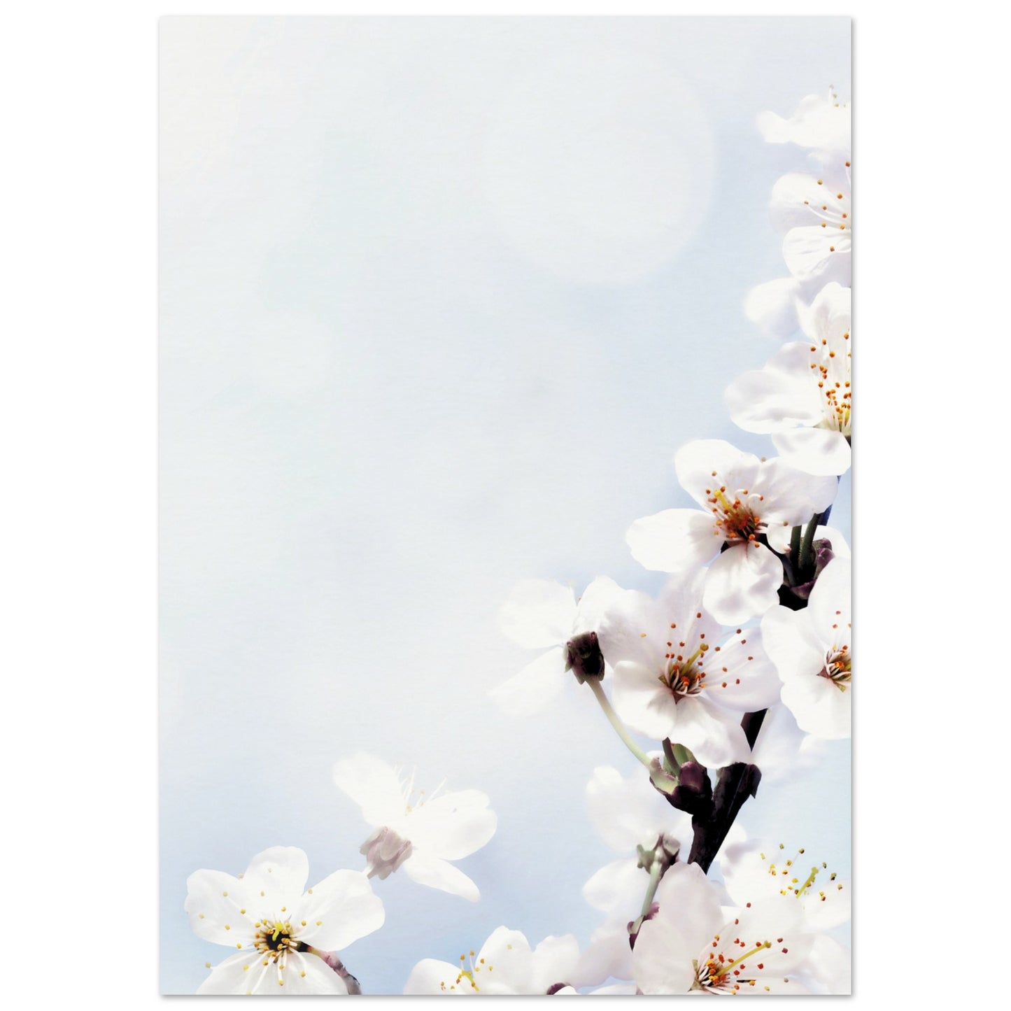 f5567efd-0179-4d43-bf6d-b1903026d3ca